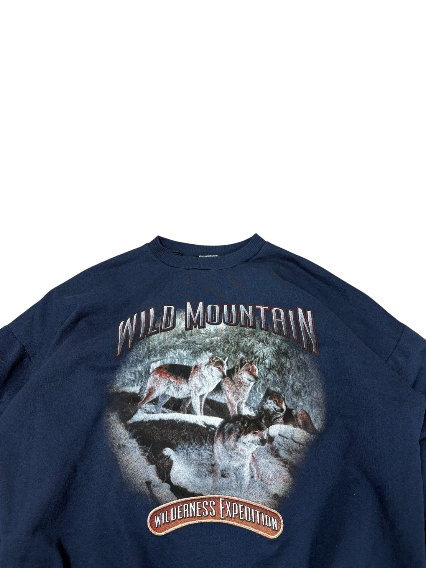 Vintage Wild Mountain Graphic Crewneck