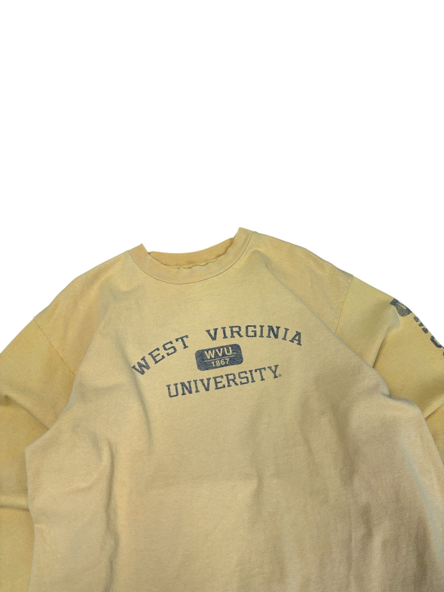 Vintage West Virginia Longsleeve