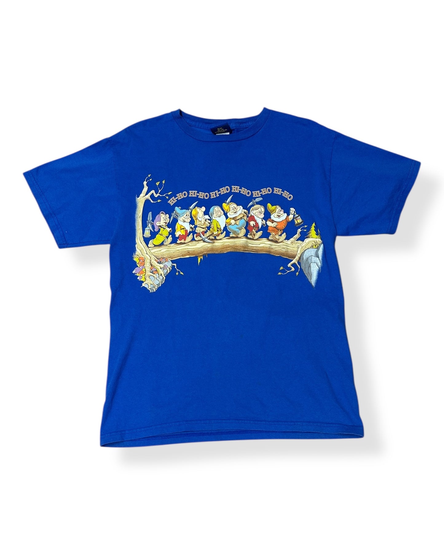 Disney Seven Dwarves Graphic T-shit