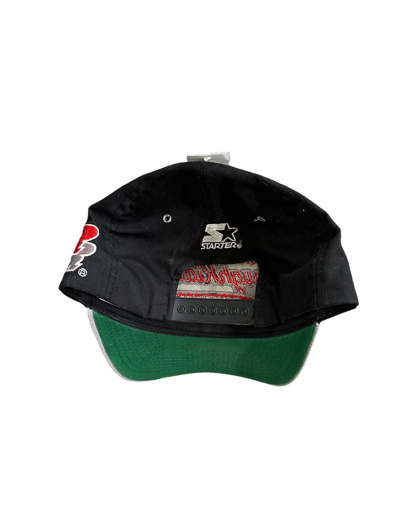 Vintage Starter Ottawa Rough RIders Hat