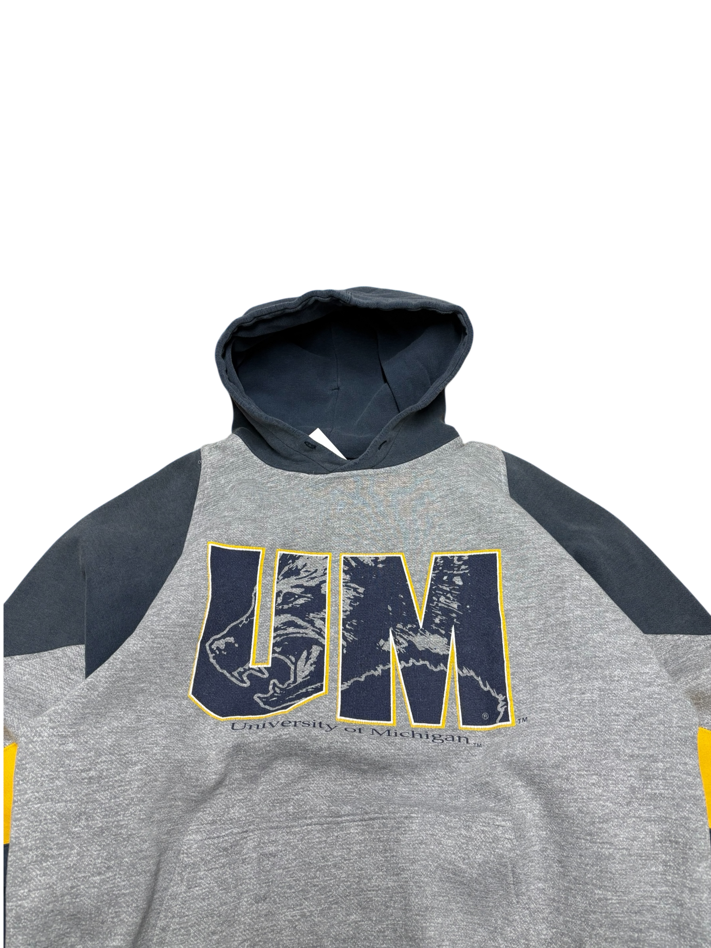 University of Michigan UM Lettering Hoodie (As Is)