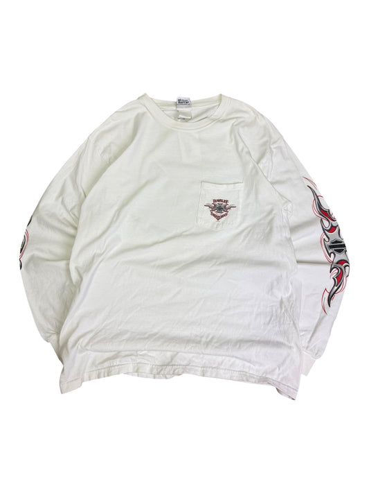 Vintage 2002 Harley Ames, Iowa Longsleeve