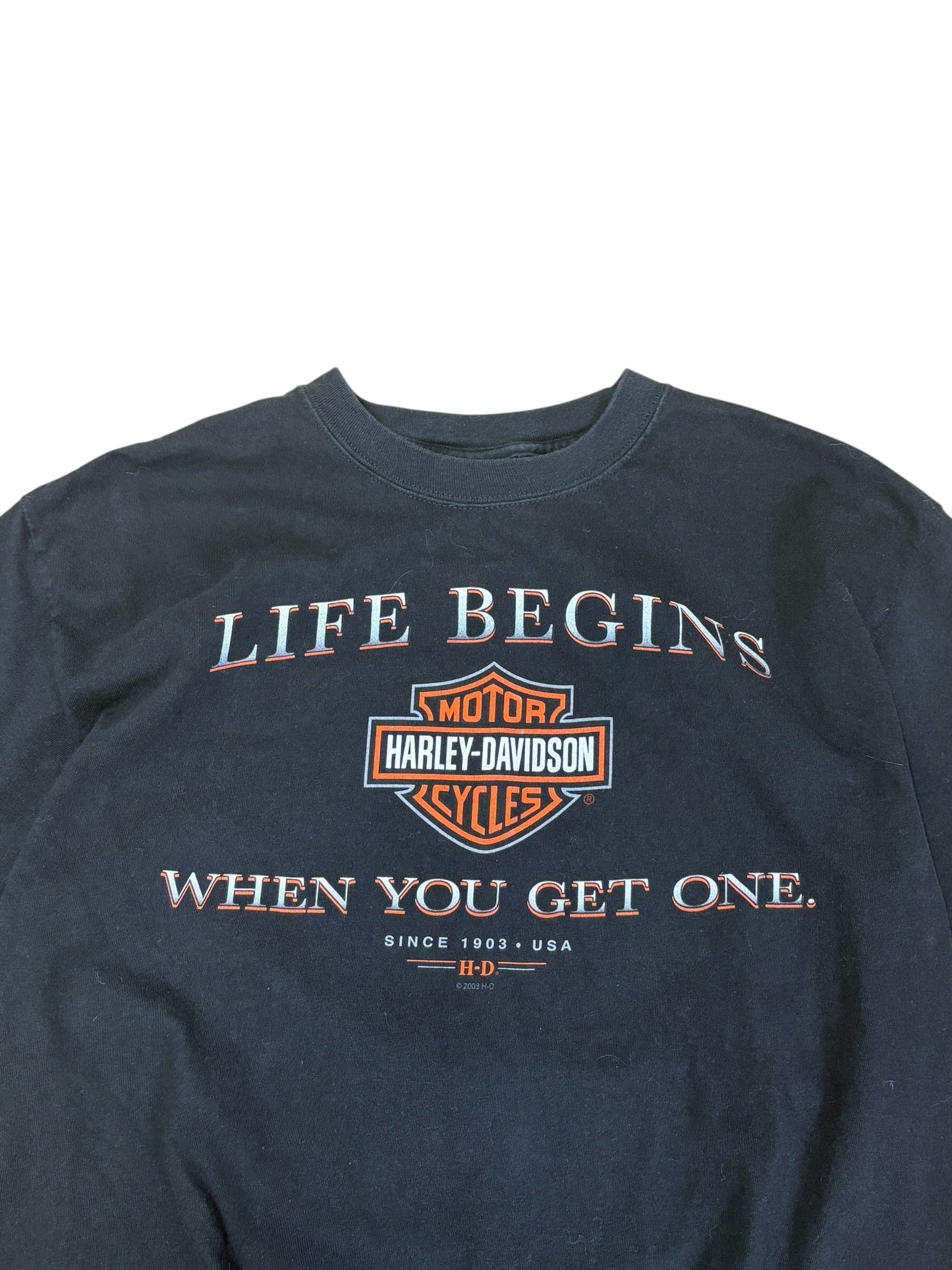 Harley Davidson 2004 Mt.Vernon, IL T-shirt