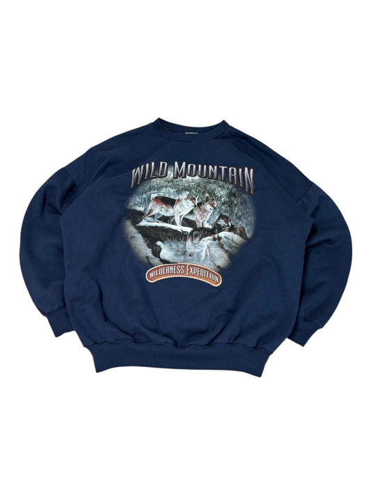 Vintage Wild Mountain Graphic Crewneck