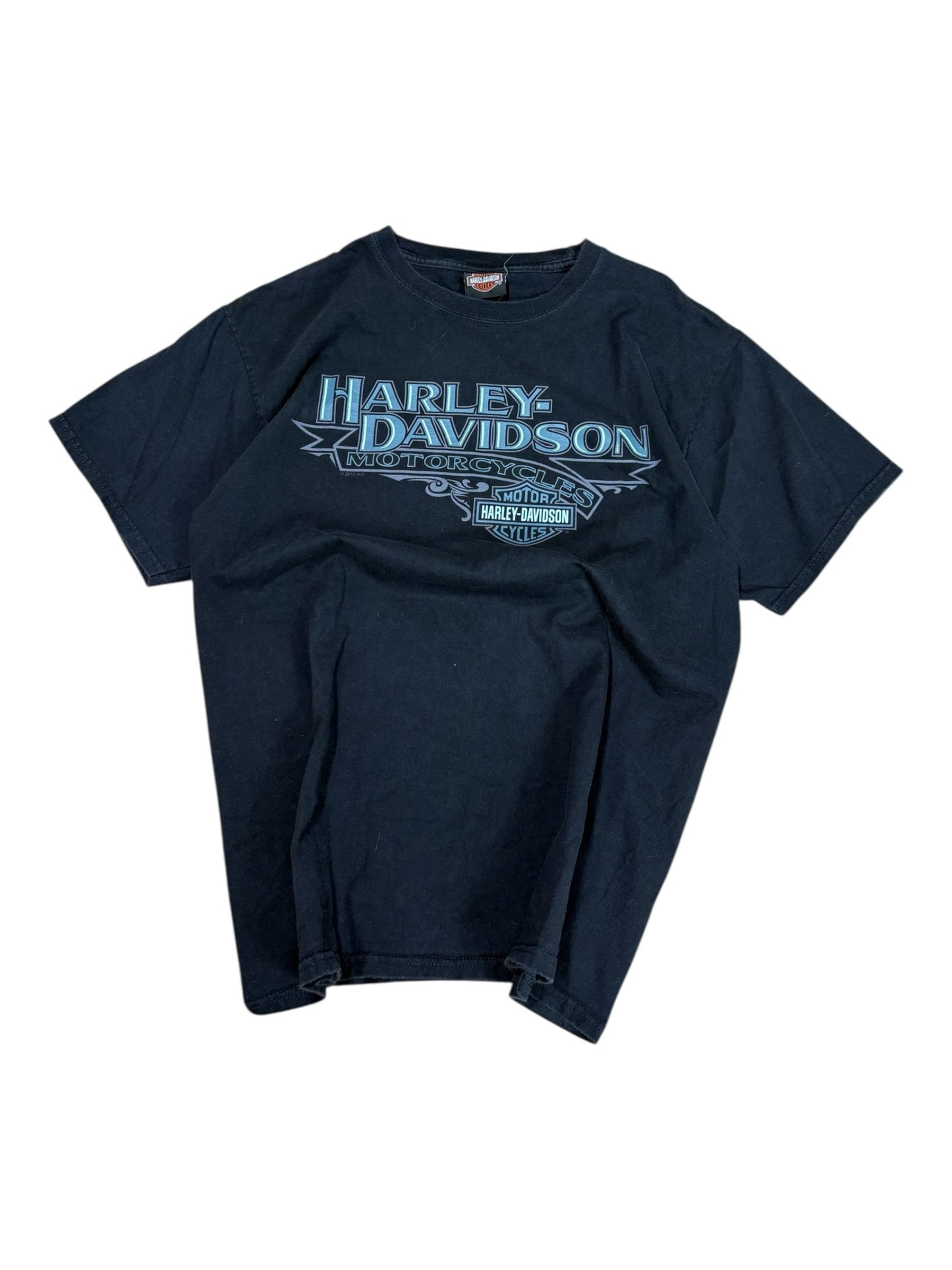Harley Davidson WInnipeg Manitoba T-Shirt