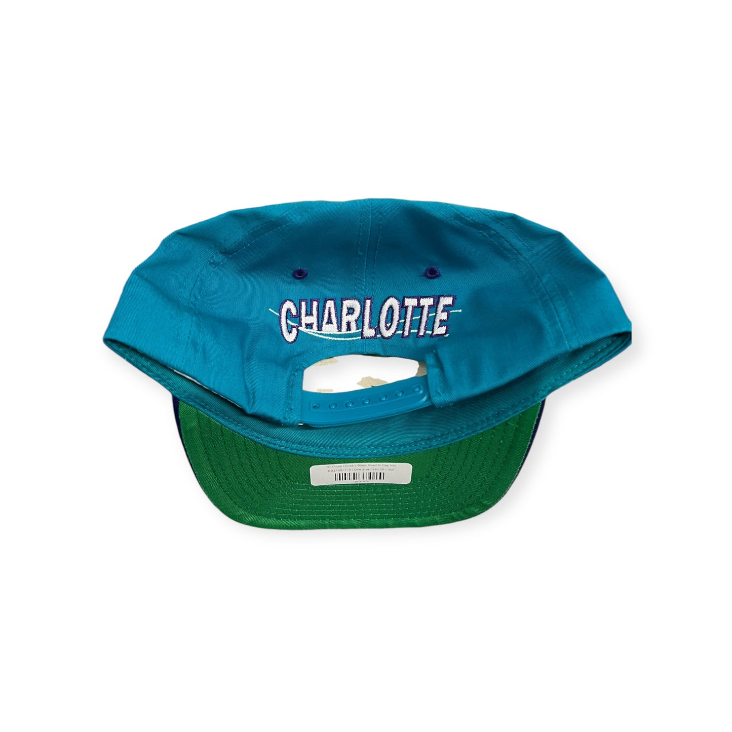 Charlotte Hornets Block Head G Cap Hat