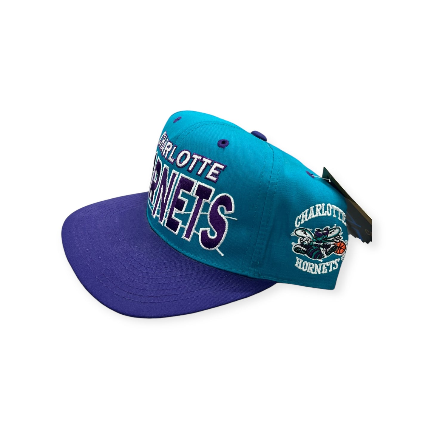 Charlotte Hornets Block Head G Cap Hat