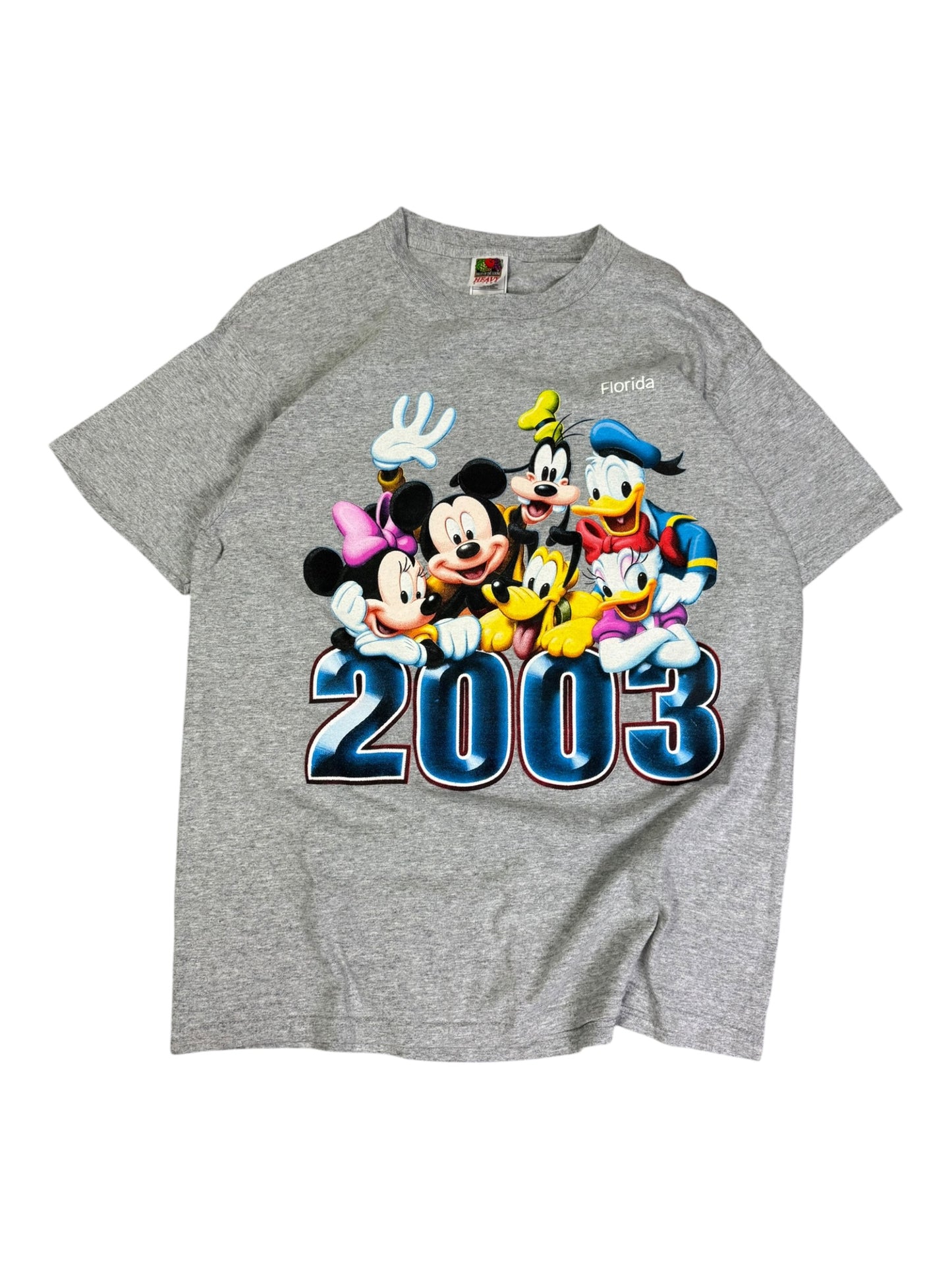 Vintage 2003 Disney Florida T-shirt