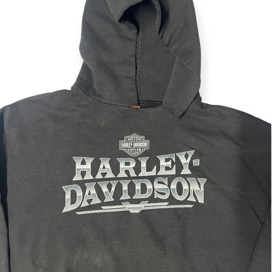 Harley Davidson Napoleon, Ohio Hoodie