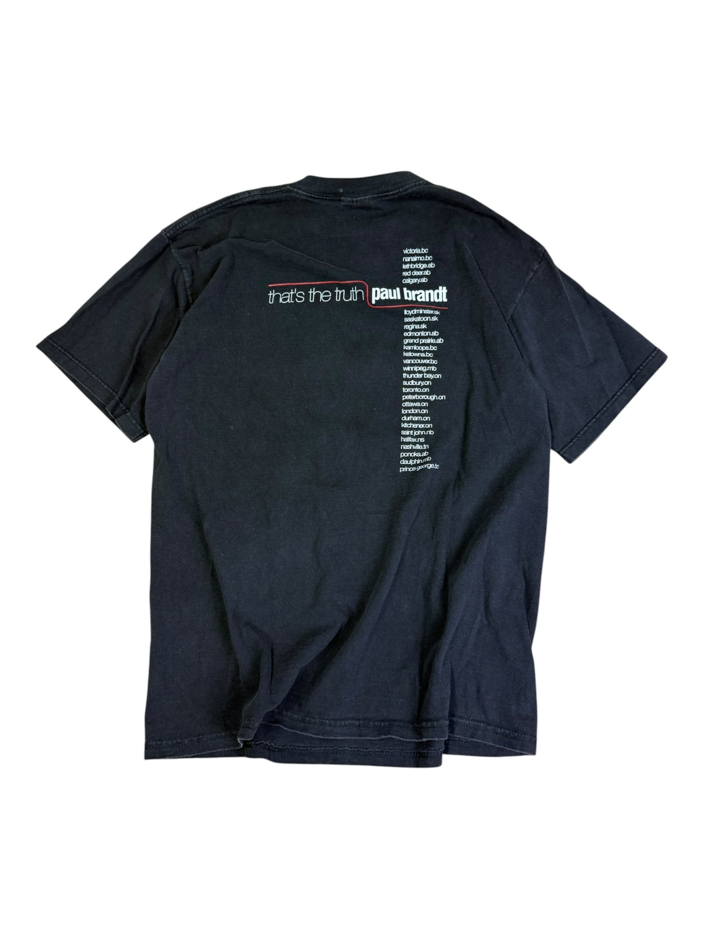 Vintage 90s Paul Brandt "That's the truth" T-shirt