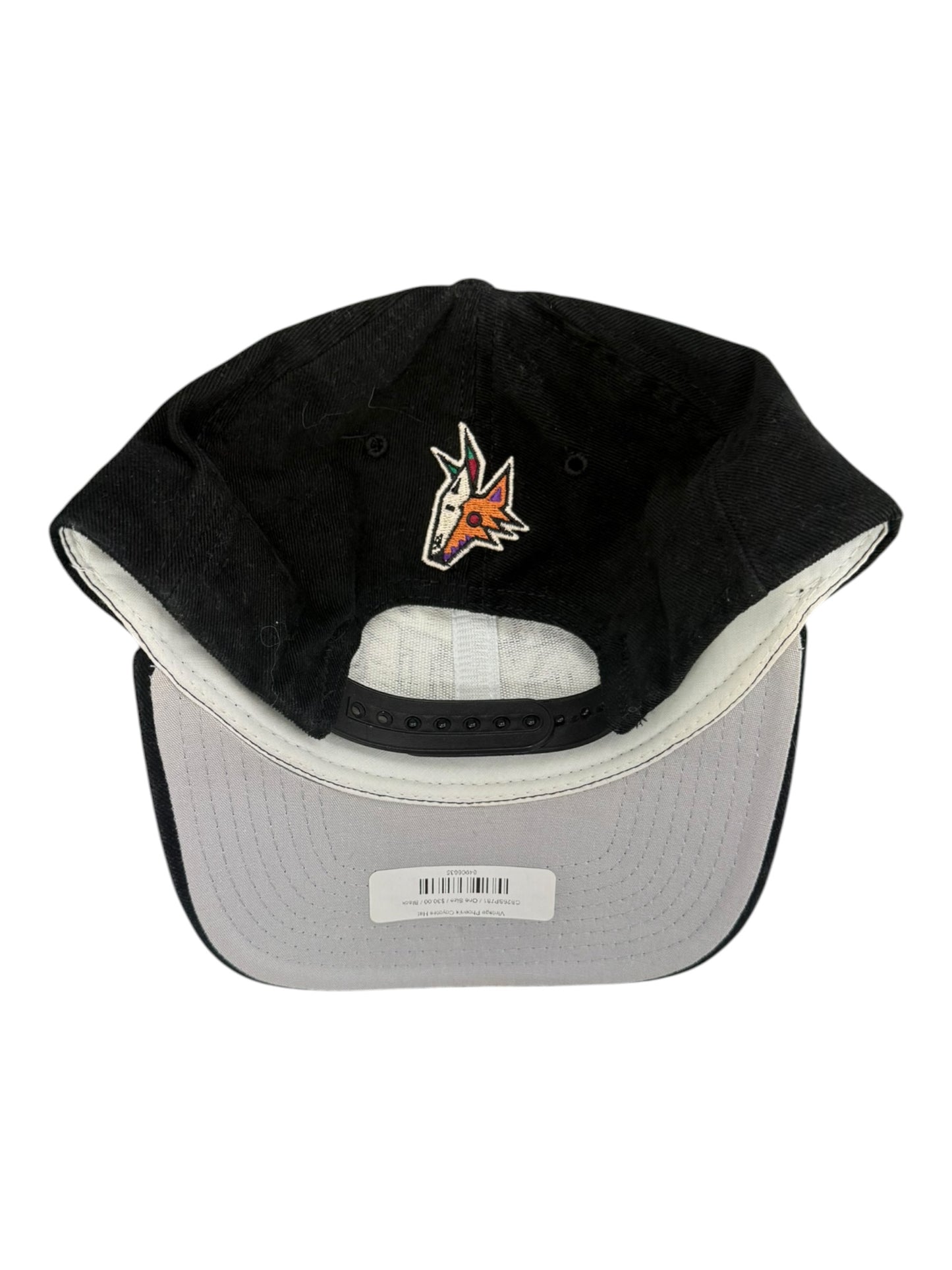 Vintage Phoenix Coyotes Hat