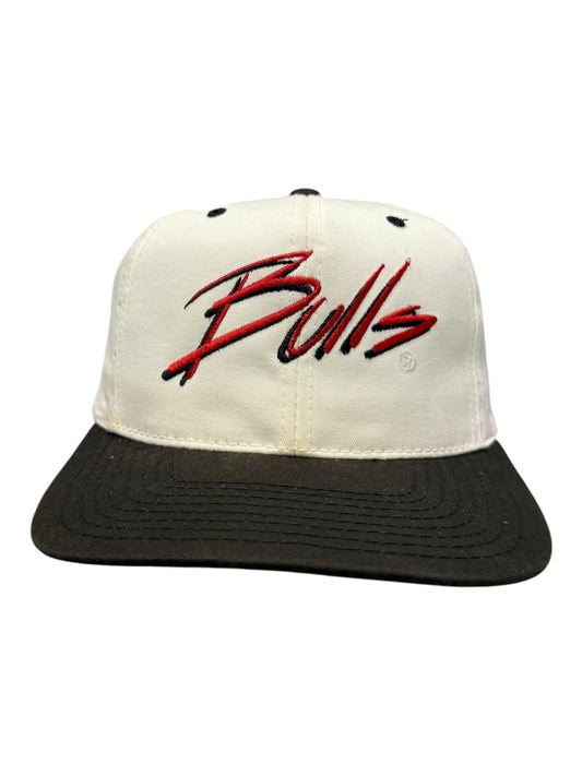 Vintage Bulls x Apple Hat