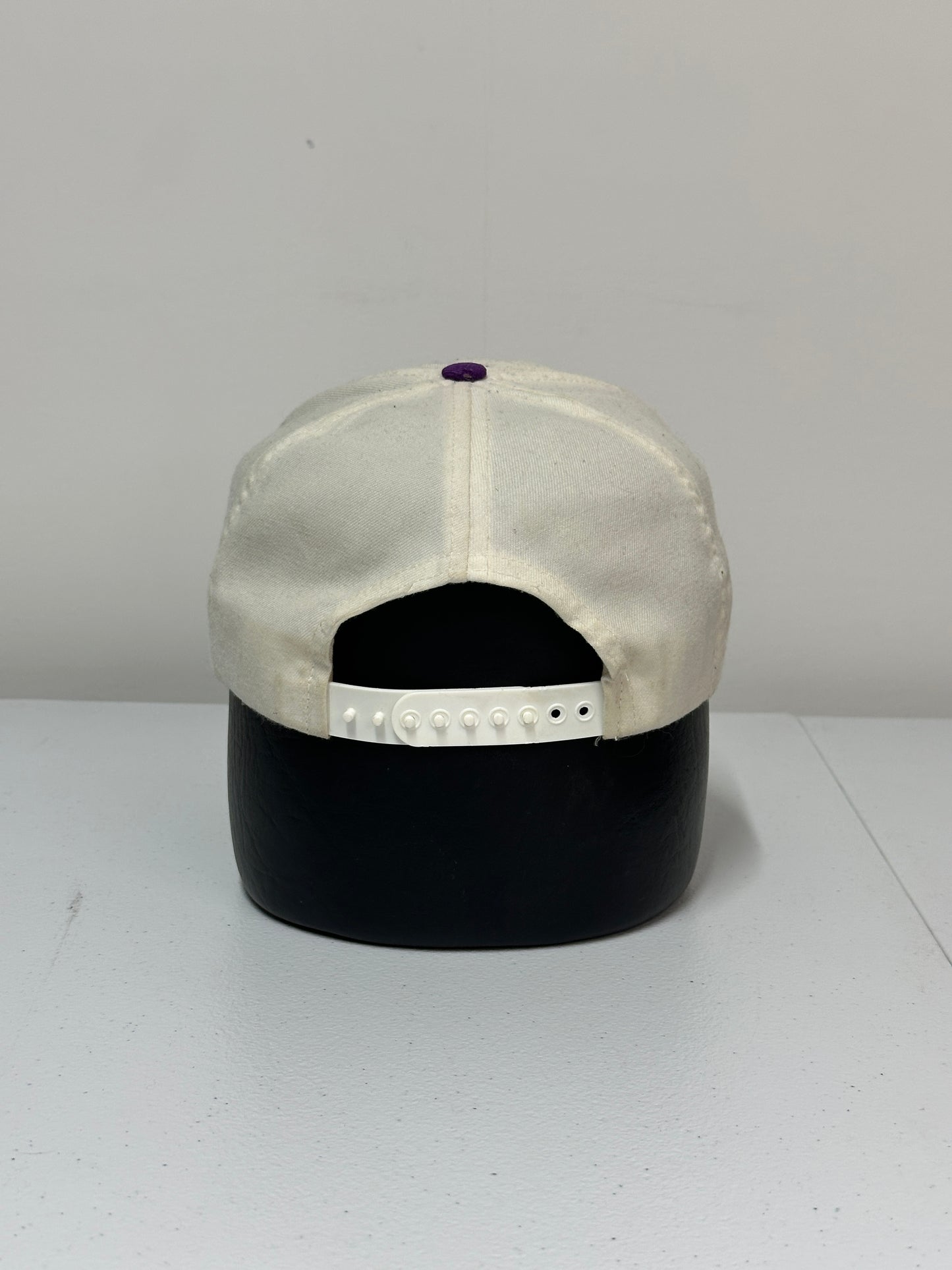 Vintage 1994 Toronto Raptors Hat