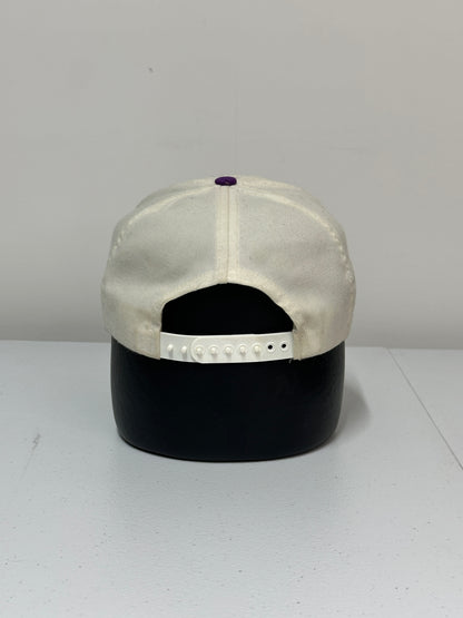 Vintage 1994 Toronto Raptors Hat