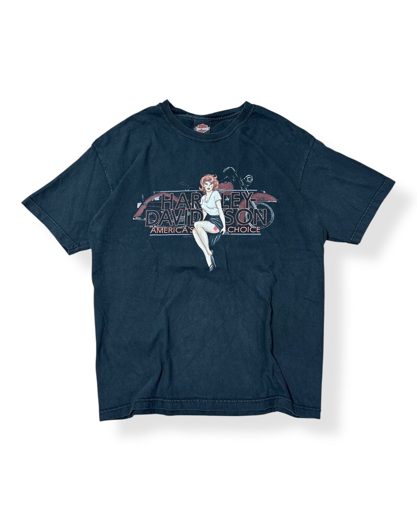 Harley Davidson North Blaine, MN T-shirt