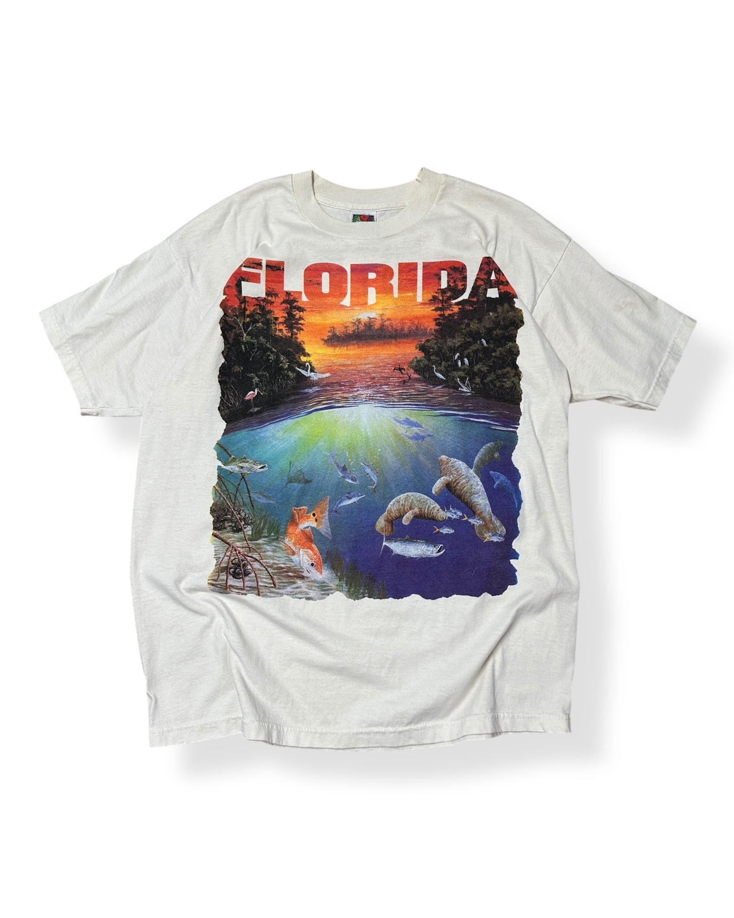Vintage Florida Scenic View T-shirt